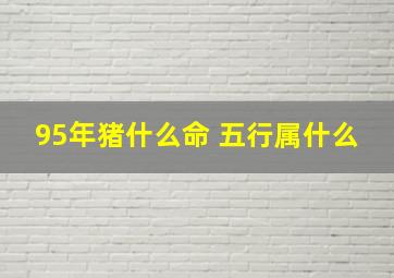 95年猪什么命 五行属什么